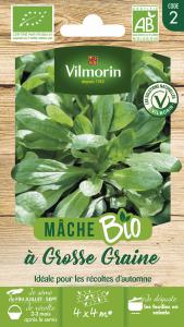 Mâche à Grosse Graine - BIO